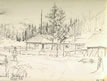 Sketch of Salt Spring Island Cabin [probably Jonathan Begg's house in Begg's Settlement]