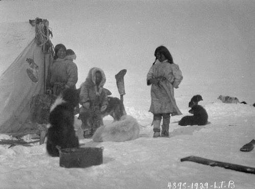 Inuit group at camp on ice, Gjoa Haven, King William Island, NWT [Nunavut]